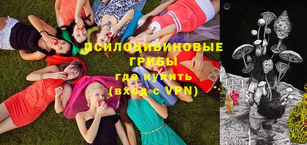 дмт Абдулино